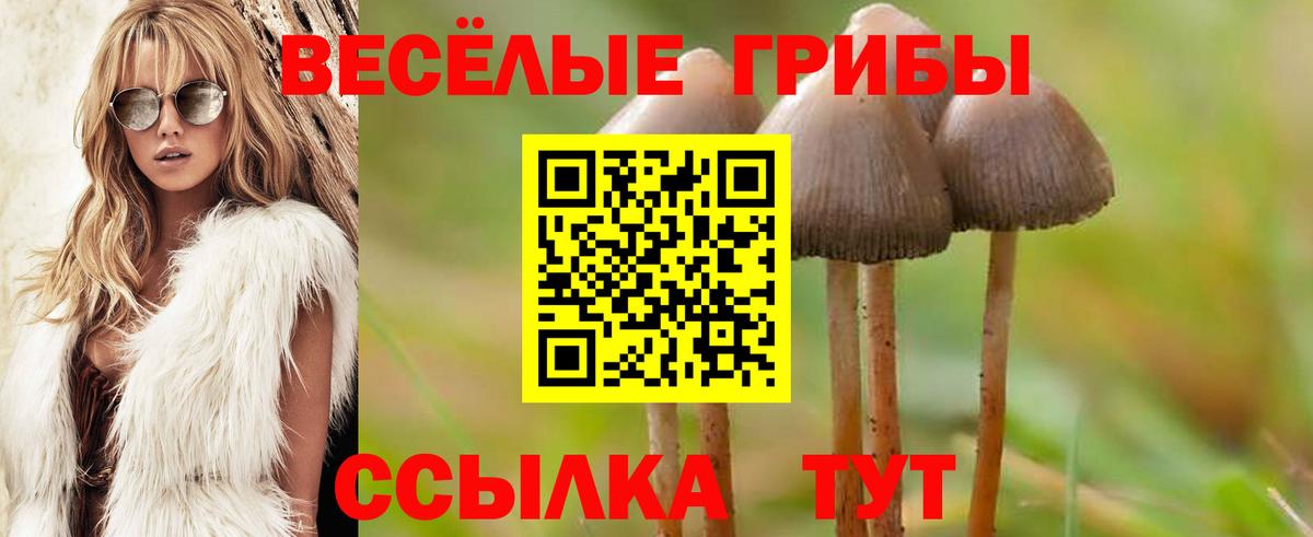 Галлюциногенные грибы мицелий  Вход с VPN  Саяногорск  Галлюциногенные грибы ЛСД 